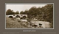 Buckfastleigh [Bridge & River II] - Southern Railway
