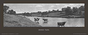 Alnwick Castle [from across River] - North Eastern Railway