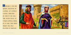 Edward I and Queen, Eleanor of Castile, Conway Castle. by  Whitear