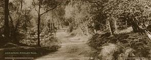 Loch Katrine [Woodland Walk] - London Midland & Scottish Railway