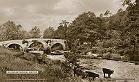 Buckfastleigh [Bridge & River I] - Southern Railway