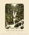 Stock Ghyll Force, Ambleside - Photochrom (various railways)